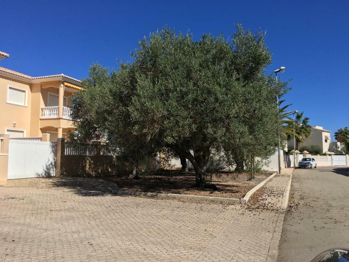 Frente Al Mar - Velazquez Villa Oliva Eksteriør bilde